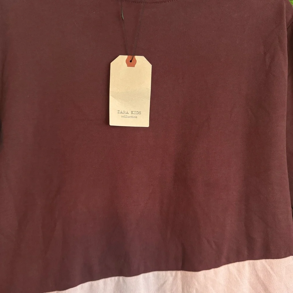 Zara Girls Size 13/14 Colorblock Longsleeve Dress New with tag